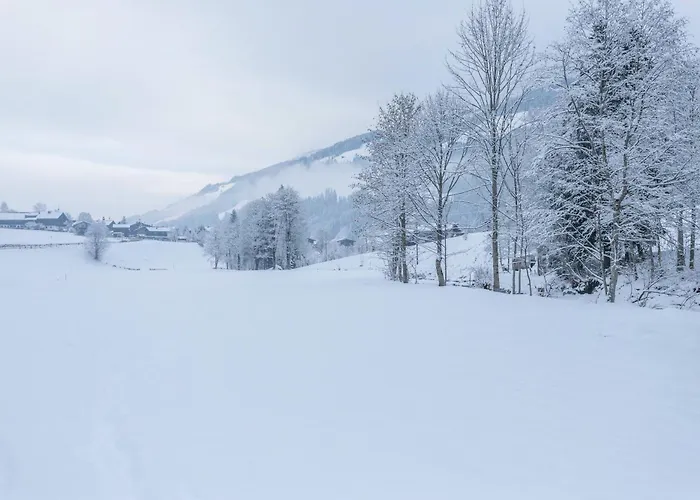 Schwuewong - 21 Apartmán *